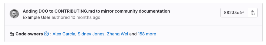 File view showing the Code Owners listed below a description of the most recent change.